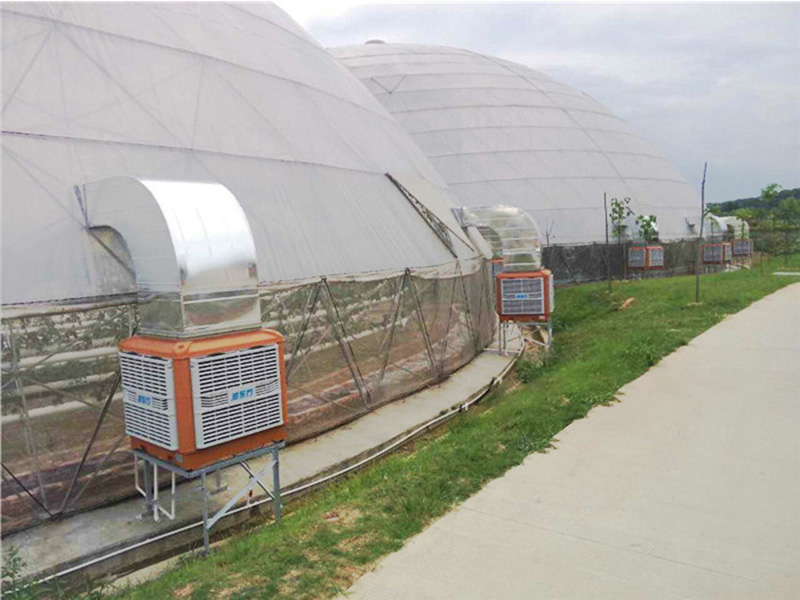 溫室大棚通風降溫設備|潤東方環(huán)?？照{(diào)