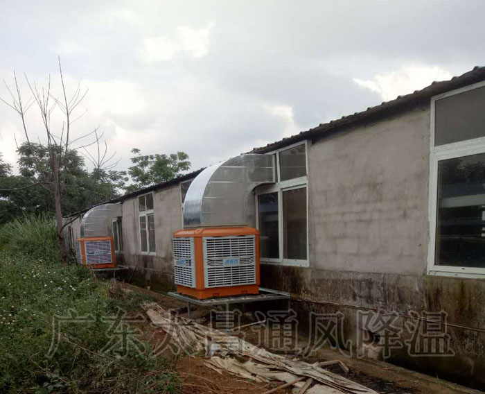 養(yǎng)殖場通風降溫工程|潤東方環(huán)?？照{(diào)方案設備